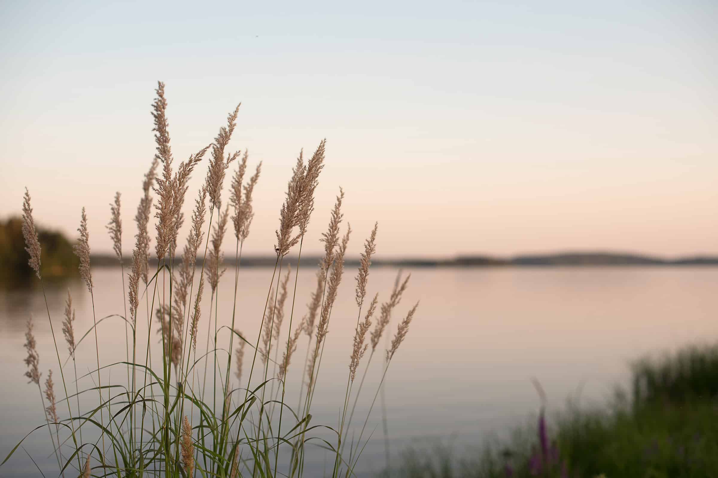 Lp Background Lake 1330239566